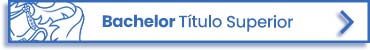Grado Universitario - Título Superior (Bachelor) a distancia en Bircham International University